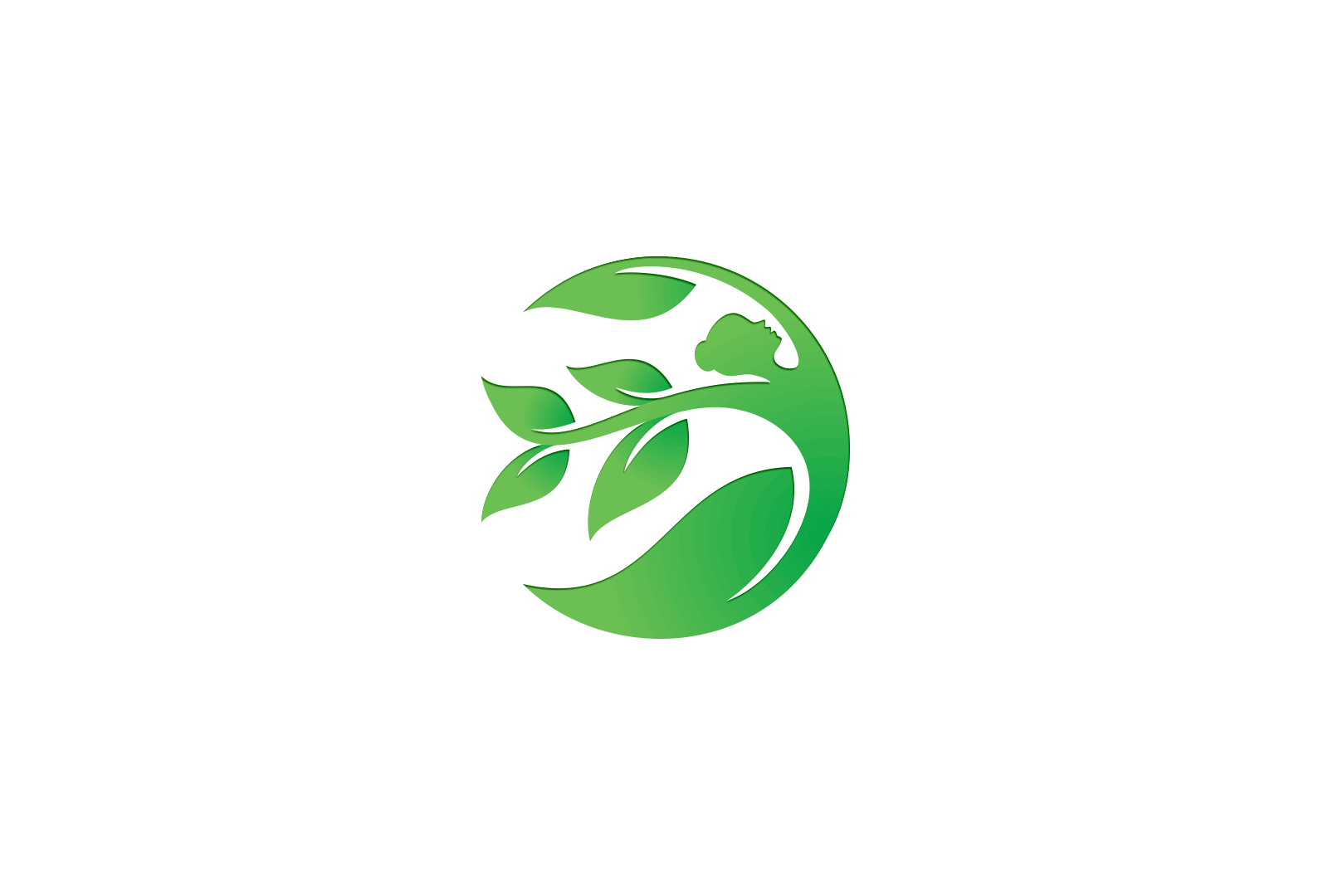 Branch Logo FOR SALE"