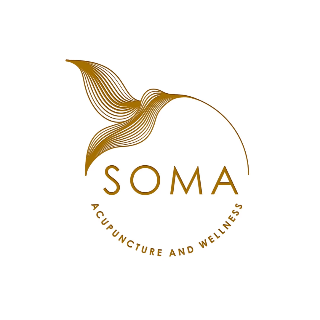 LOGO | BRANDING 19 Acupuncture and Wellness modern, geometric Logo Design of a humming bird